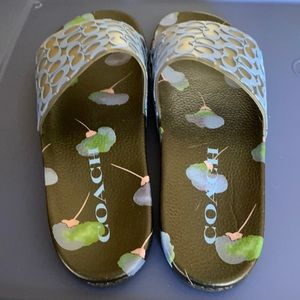 Ladies Coach Slides.